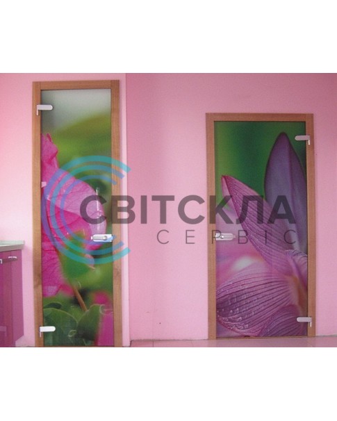 Стеклянная перегородка Модель 10