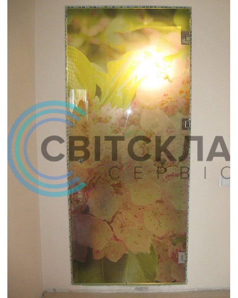 Стеклянная перегородка 11