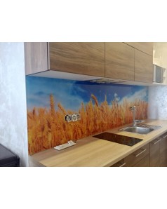 Кухонна скляна поверхня