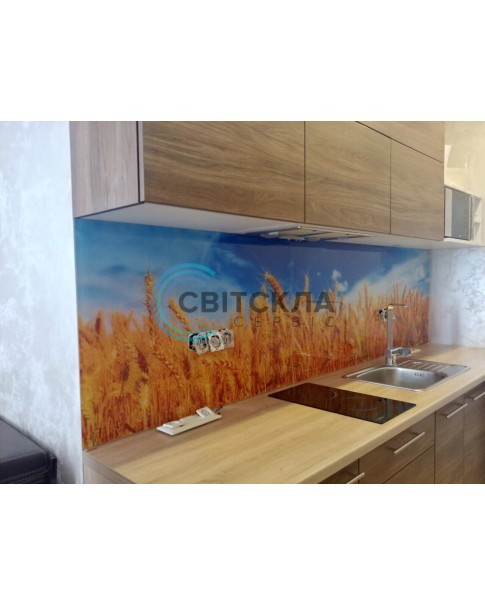 Кухонна скляна поверхня